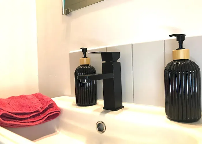Le Castel Lily - Calme - Face Aux Parcs - Immeuble De Caractere